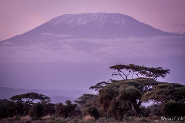 kenya-places-amboseli-img-1029C233A907-1194-3E32-6CFF-64B9979576E9.jpg