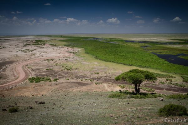 kenya-places-amboseli-img-1260D53A6AAF-AF20-7A27-8FB9-4CC87E8C6316.jpg