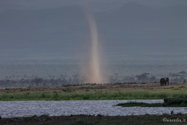 kenya-places-amboseli-img-9842-2AD2EC6AD-AAFE-DF4A-B13B-6174F4AB9AA7.jpg