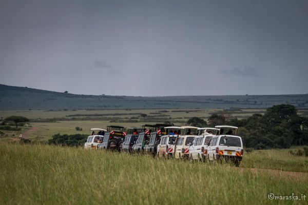 kenya-places-amboseli-img-99732145AD75-A1B7-4541-FC66-877E9BE5D0D8.jpg