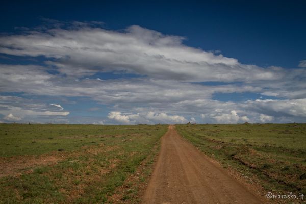 kenya-places-masaimara-img-0213F11304D8-160A-6DC4-80AB-762182F86509.jpg