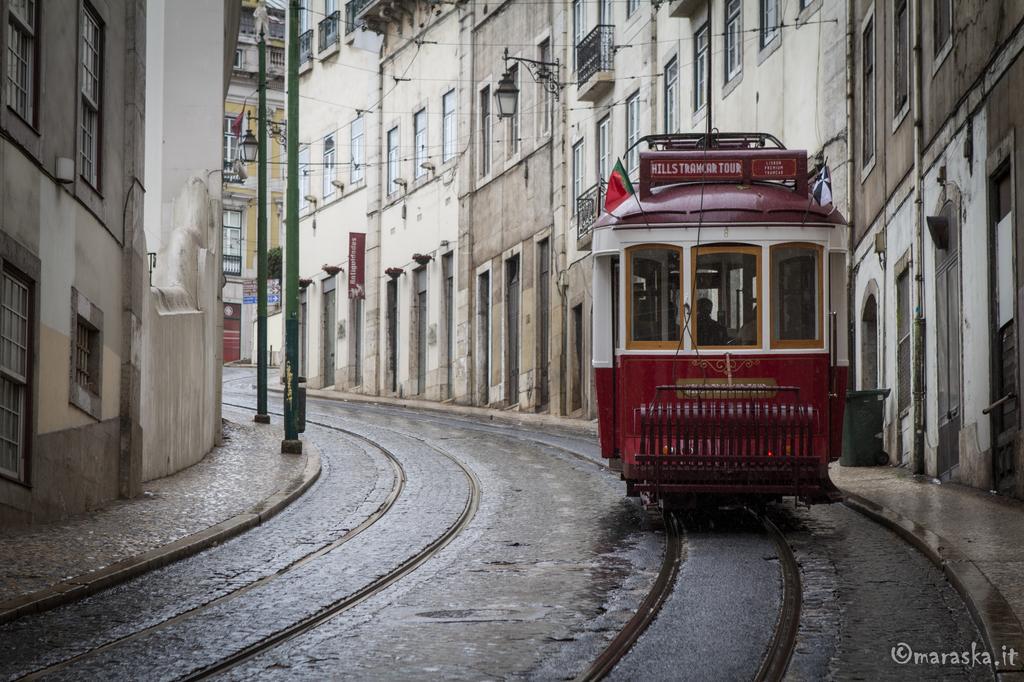 Lisboa tram